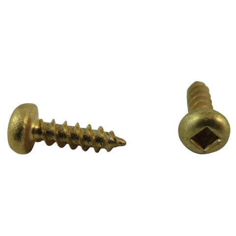 10 Pack #6 x 1/2" Round Head Socket Brass Wood Screws