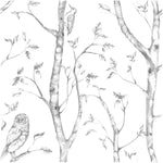 WallPops NU1412 Woods Peel and Stick Wallpaper, Grey