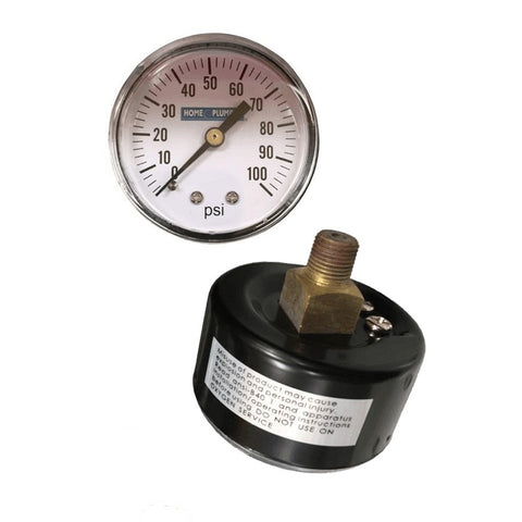 1/8" Back Mount Pressure Gauge