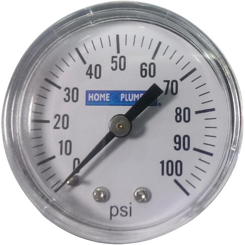 1/4" Back Mount Pressure Gauge