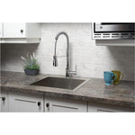 Professio Single Handle Pull-Down Kitchen Faucet - Chrome