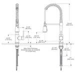 Professio Single Handle Pull-Down Kitchen Faucet - Chrome