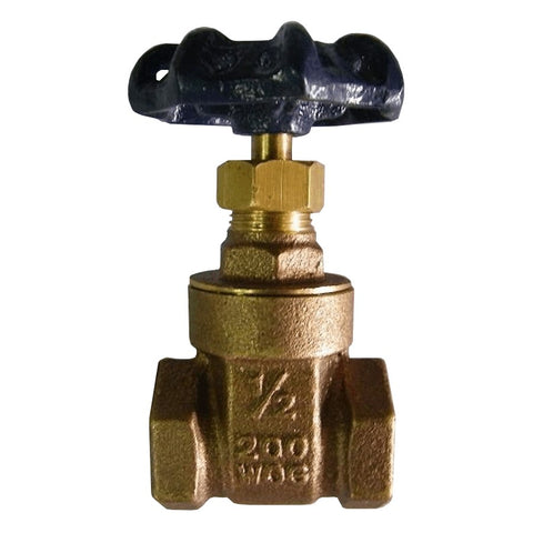 1/2" IPS Brass Gate Valve