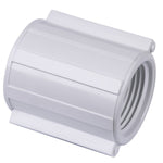 Schedule 40 3/4" FPT x FPT PVC Coupling