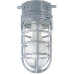 Metal Cage Ceiling Mount Light