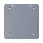 Thomas & Betts E9802CNCAR 2 Gang Blank Cover