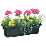 DCN Plastic 4224BK Distinction Window Box, Black