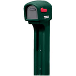 Step2 540100 MailMaster Standard Mailbox, Spruce