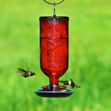 Perky-Pet 8109-2 Antique Glass Bottle Hummingbird Feeder-16 oz. Capacity, Red