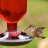 Perky-Pet 8109-2 Antique Glass Bottle Hummingbird Feeder-16 oz. Capacity, Red