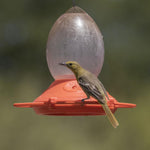 Perky-Pet 449-2 Oriole Feeder