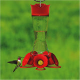 Perky-Pet 204CP-4 Favored Glass Hummingbird Feeder with Built-in Ant Moat and Bee Guards  16 oz