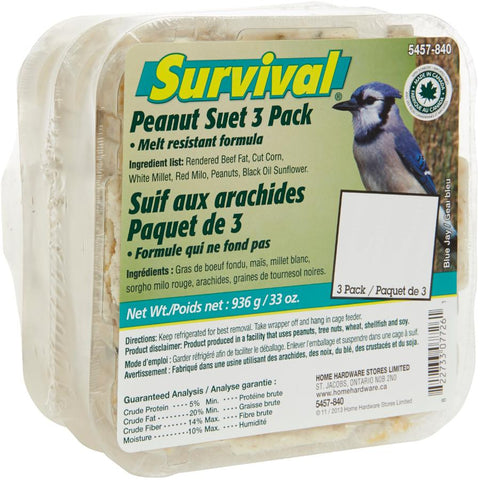 Suet Cake Bird Food - Peanut, 312 g, 3 Pack