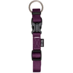 14-22 inch(s) x 3/4 inch(s) Adjustable Royal Purple Nylon Dog Collar