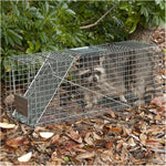 Havahart 1079SR Live Animal Professional-Style One-Door Raccoon, Groundhog, Opossum, and Stray Cat Cage Trap-Made in the USA