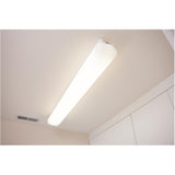 PHILIPS 472944 Led 17W = 32W T8 TLED Instant Fit, Daylight, 5000K