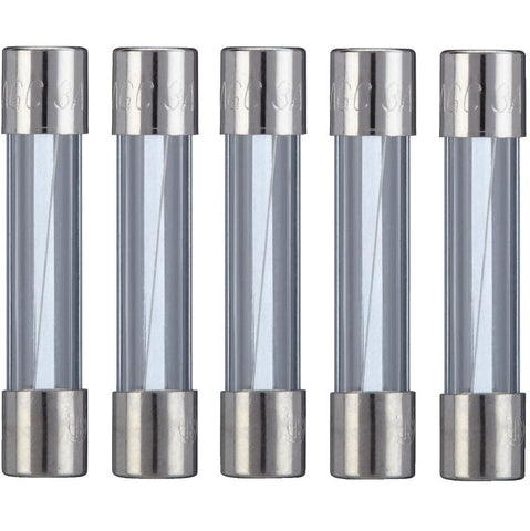 Fact Acting AGC 3 Amp Glass Fuses - 5 Pack