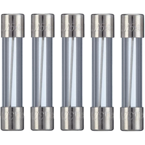 Fact Acting AGC 25 Amp Glass Fuses - 5 Pack