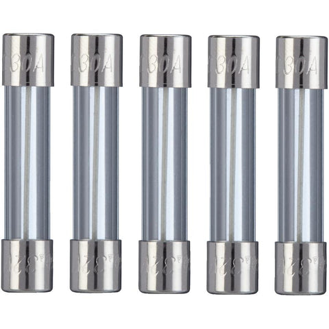 Fact Acting AGC 30 Amp Glass Fuses - 5 Pack