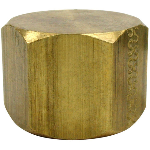 1/4" Brass Pipe Cap