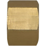 1/2" Standard Compression Brass Nut