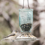 Outdoor Seasons Perky-Pet Mason Jar Wild Bird Feeder, Blue