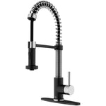 Vigo VG02001K1 Edison 1.8 GPM Pre-Rinse Swivel Kitchen Faucet with Escutcheon, Stainless Steel/Matte Black